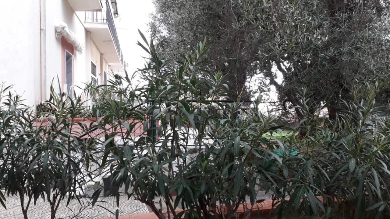 Cialoma Full Green Marina di Camerota Exterior foto