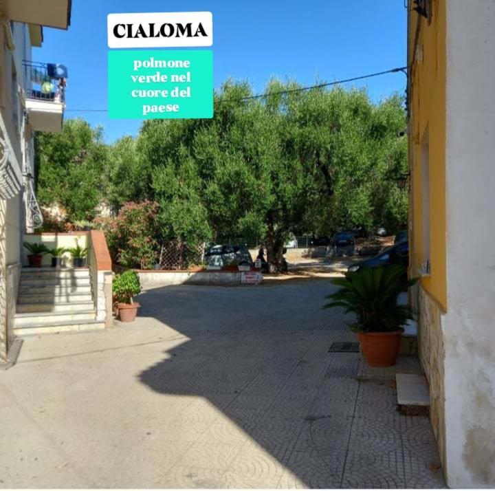 Cialoma Full Green Marina di Camerota Zimmer foto